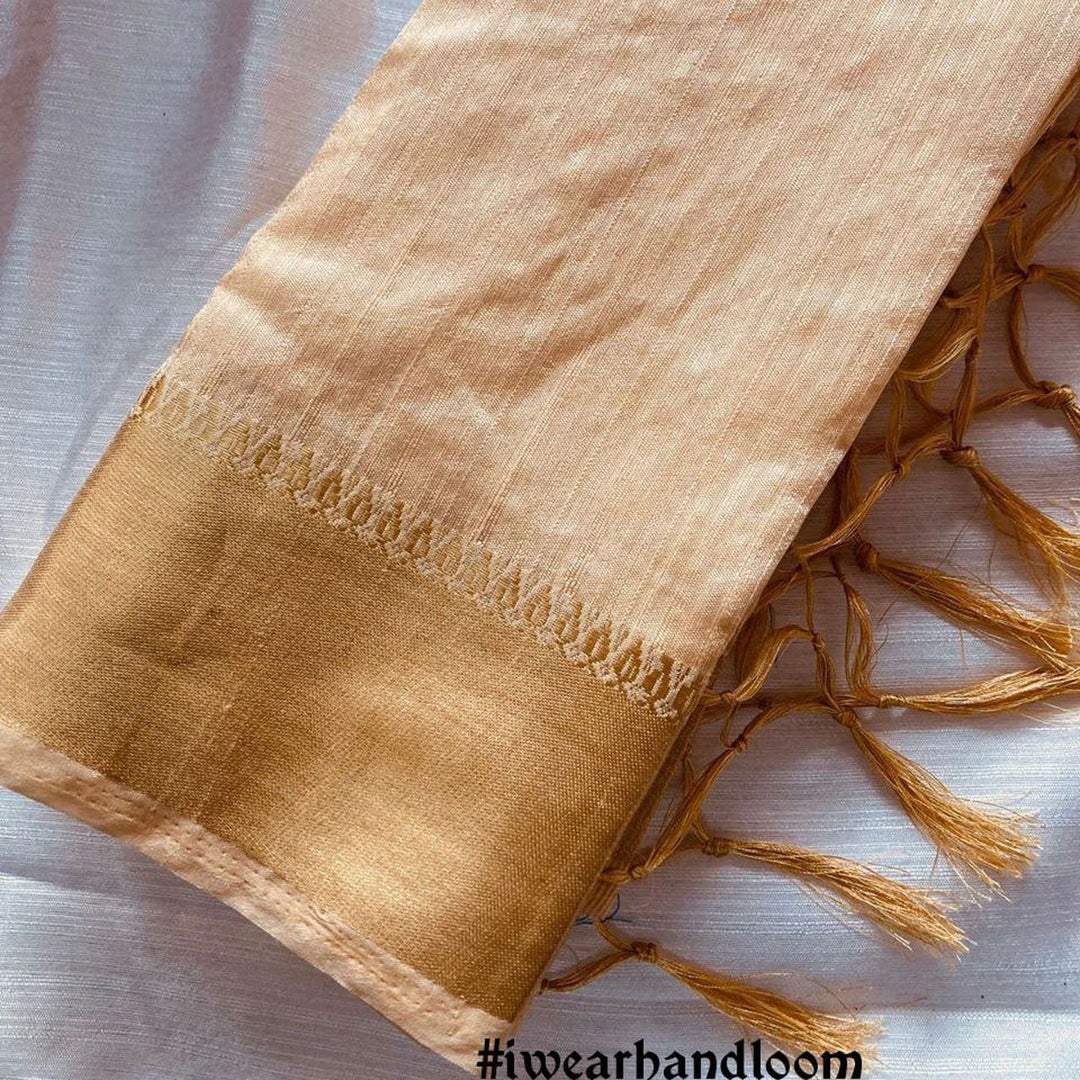 Beige Starlight Handloom Galaxy Chiffon Saree With Plain Zari Elegance