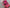 Pink Soft Silk Crepe Georgette Saree Digital Printed Casual Saree With Blouse