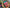 Lustrous Pink And Blue Handwoven Tussar Silk Saree Digital Print And Zari Accents