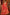 Designer Sarees Under One Roof
