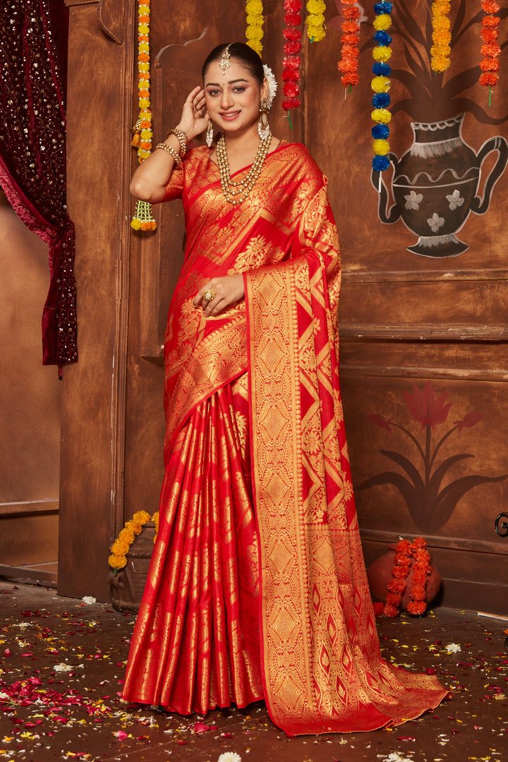 Sarees for the Modern Muse
