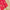 Graceful Glow Artistic Rani Lichi Silk Saree