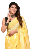 A Drape Beyond Time | Explore Sarees