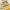 Soft Silk Beige Color Fancy Digital Print Wedding Wear Saree