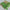 Handpicked Green Soft Silk Saree Bold Digital Design