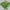Green Color Glorious Soft Silk Saree With Digital Print