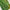 Heritage Glow Green Silk Saree With Fine Weaving Finish