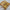 Golden Color Soft Silk Fancy Digital Print Saree