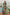 Sarees Draped in Cultural Poetry