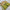 Graceful Green Soft Silks Digital Printed Saree