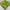 Luminous Beige Soft Silks Digital Printed Saree