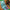 Sea Green Color Nylon Digital Printed Beautiful Saree