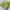 Green Color Party Style Soft Silk Fabric Beguiling Digital Printed Saree