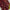 Woven Whispers Appealing Burgundy Pure Silk Elegance Saree