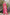 Sarees Draped for Radiant Occasions