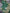 Striking Bottle Green Fancy Saree Assam Pattu Digital Printed Soft Silk Look