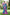 Sarees That Blend Modern with Tradition