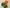 Exclusive  Zari Border Orange nd Green  Colour Plain Mysore Silk Saree.