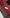 Premium Assam Pattu Saree Red Dola Silk Fancy Digital Edition