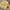 Yellow Color Exclusive Digital Printed Soft Silk Sarees