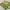 Urban Royalty Green Soft Silk Saree With Digital Prints