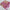 Soft And Flowing Pink Digital Print Saree In Pure Soft Silk