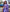 The Signature Saree Collection