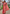 Sarees That Express Pure Beauty