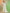 Sarees Designed for Eternal Love