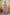 Sarees Draped in Cultural Beauty