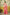 Sarees That Honor Every Festivity