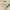 Vibrant Sea Green Soft Silks Digital Printed Saree