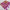 Graceful Lavender Soft Silk Digital Printed Saree