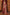 Drape in Grace – Explore Premium Sarees Online