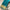 Magnificent Cyan Zari Elegance Chiffon Silk Galaxy Saree