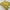 Soft Silks Olive Digital Print Saree