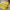 Posh Yellow Soft Silks Digital Printed Saree
