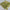 Green Color Exquisite Digital Print Soft Silk Saree