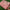 Gorgeous Peach Soft Silk Digital Print Saree For Occasions