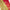 Weave Charm Beige Silk Saree With Intricate Loom Work