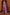 Luxury Designer Sarees – Shop the Look