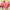 Light Pink Exclusive Digital Printed Soft Silk Sarees