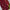 Threads Of Grace Appealing Maroon Premium Silk Weave Saree