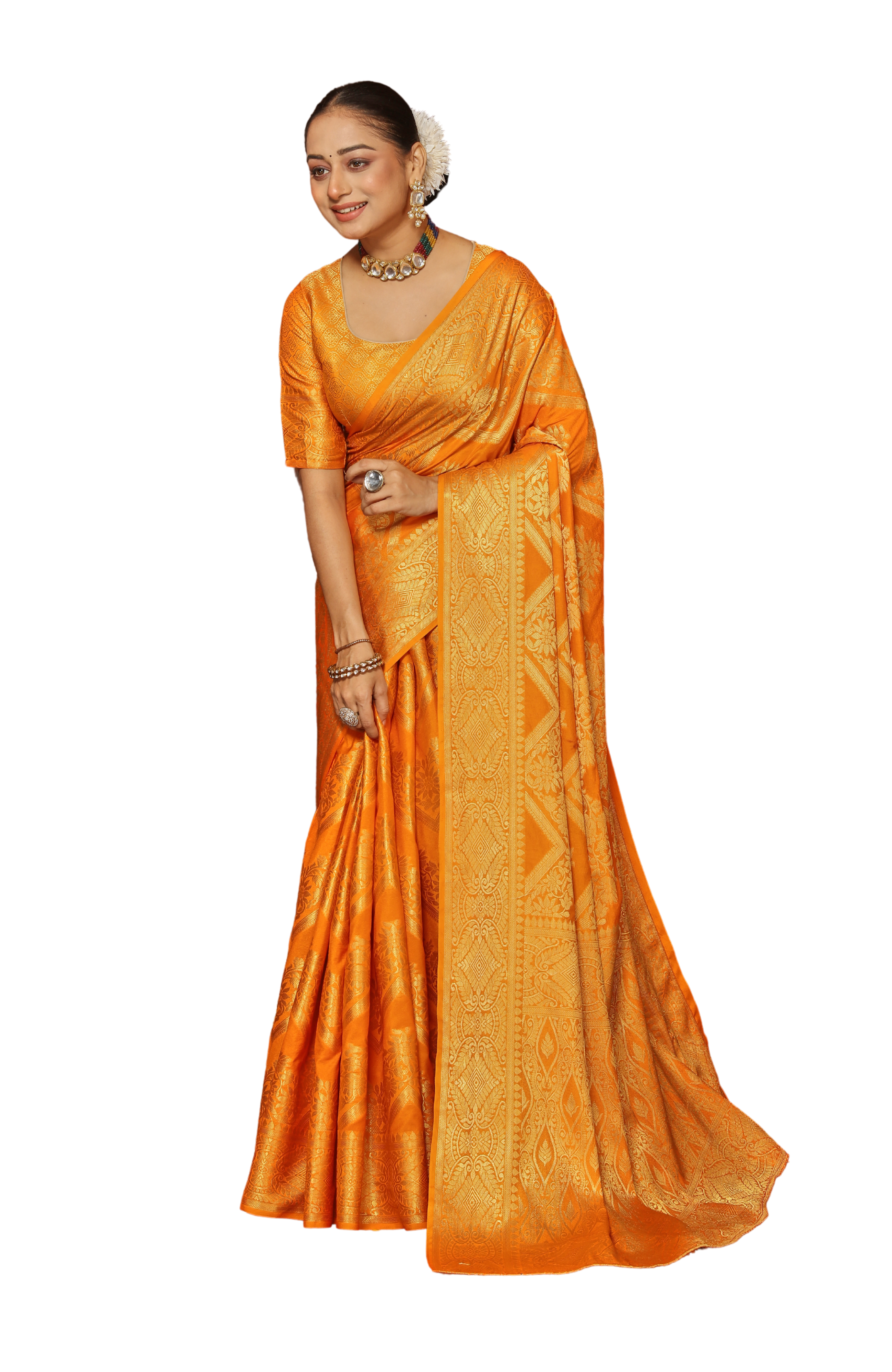 Classic Beauty, Modern Drape – Discover Sarees