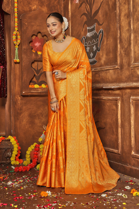 Classic Beauty, Modern Drape – Discover Sarees