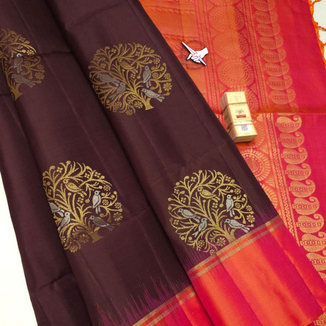 Brown Silk Symphony Kanchi Weaving Work Saree