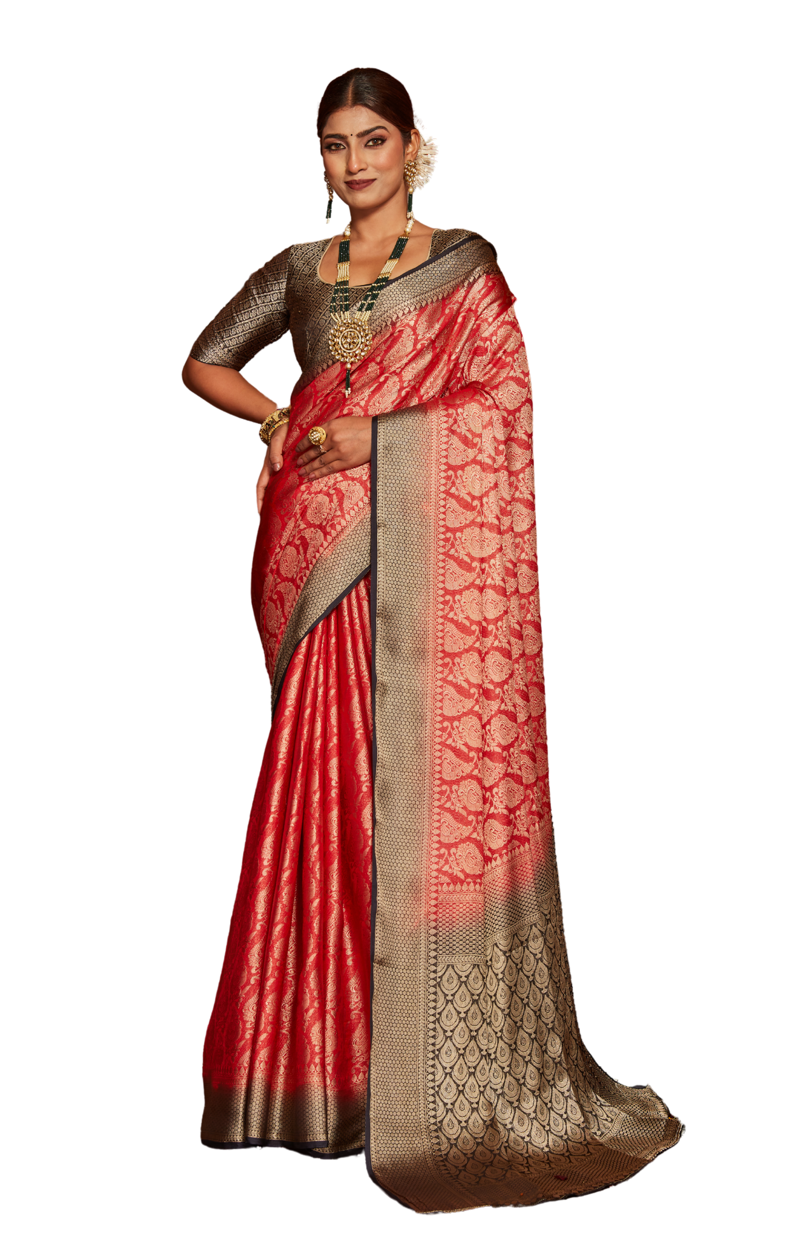 Drape with Pride: Sarees That Define You