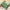 Peaceful Peacock Green Soft Silks Digital Printed Saree