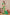 Grace in Every Drape: Mysore Crepe Digital Print Sarees