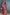 Mysore Brocket Silks: Where Comfort Meets Grandeur
